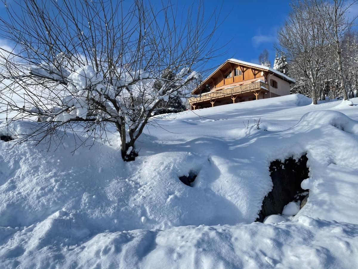 Chalet Spa Le Diamant Nathalie Mn La Rouge La Bresse Exteriér fotografie